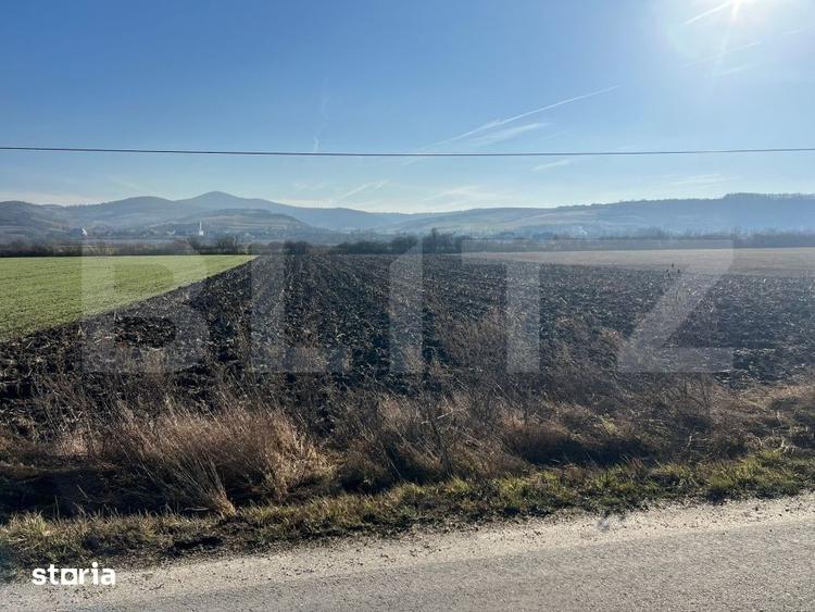Teren de 8188 mp, în Budacu de Jos