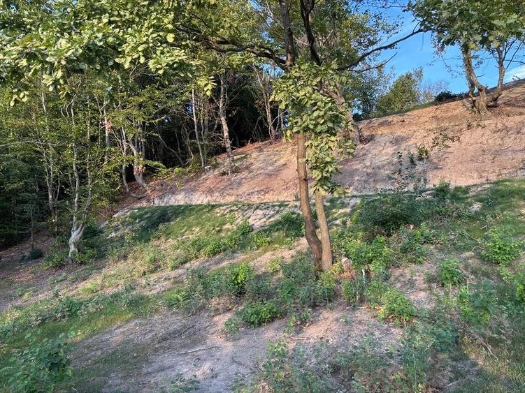 Teren de 1000 mp, în Făget