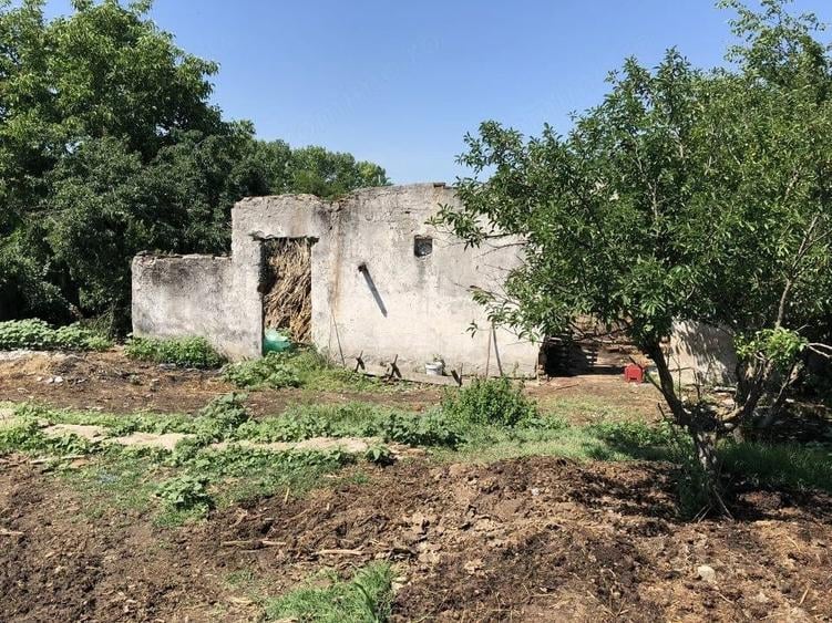 Teren de 9795 mp, în Rădoiești