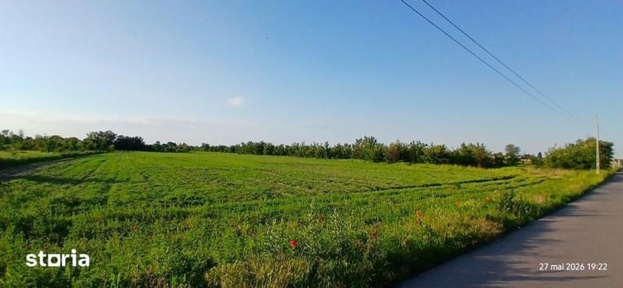 Teren Corbeanca scoala noua-parc,PROPRIETAR - 3