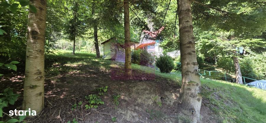 Teren de 979 mp, în Castelul Peleș