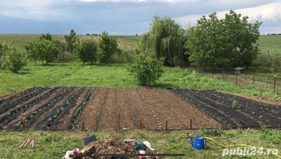 Casă cu 5 camere cu Teren 2000 Mp în Petrăchioaia