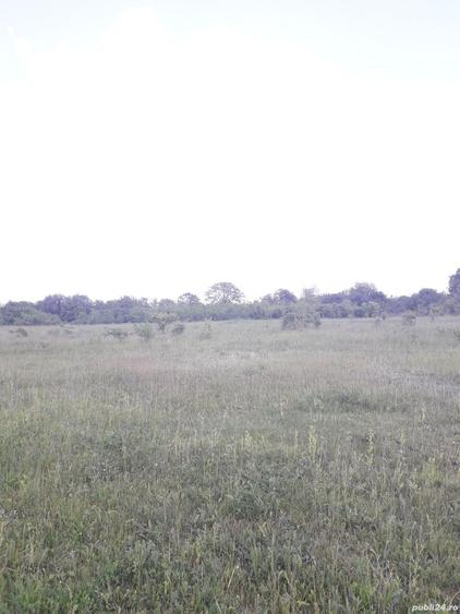 Teren de 2557 mp, în Iazu