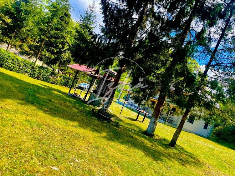 Casă individuală cu 7 camere cu Teren 1035 Mp în Avrig