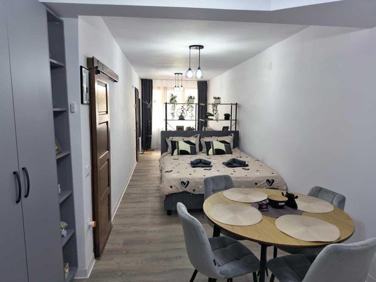 Garsoniera, central, nou renovata si dotata, de inchiriat pe termen lung - 1