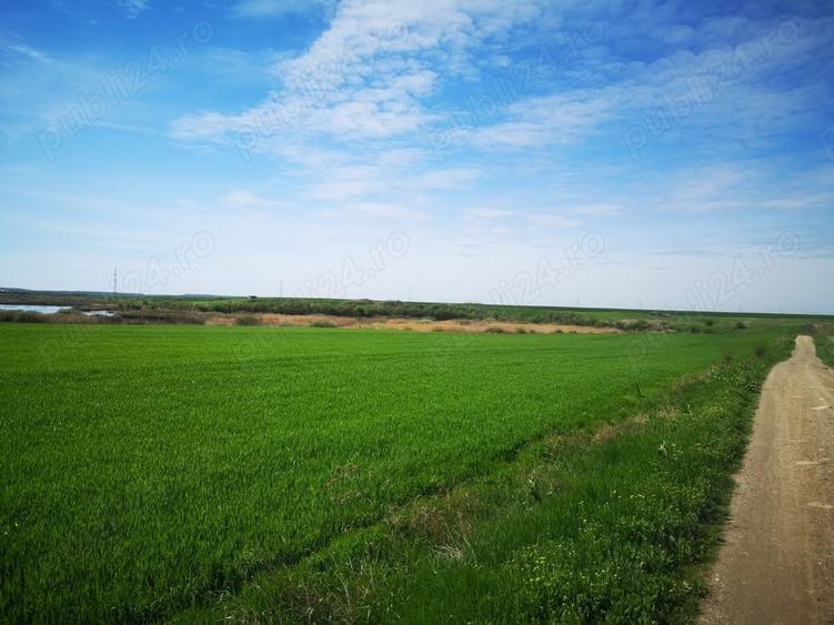Teren de 20000 mp, în Vadu Anei