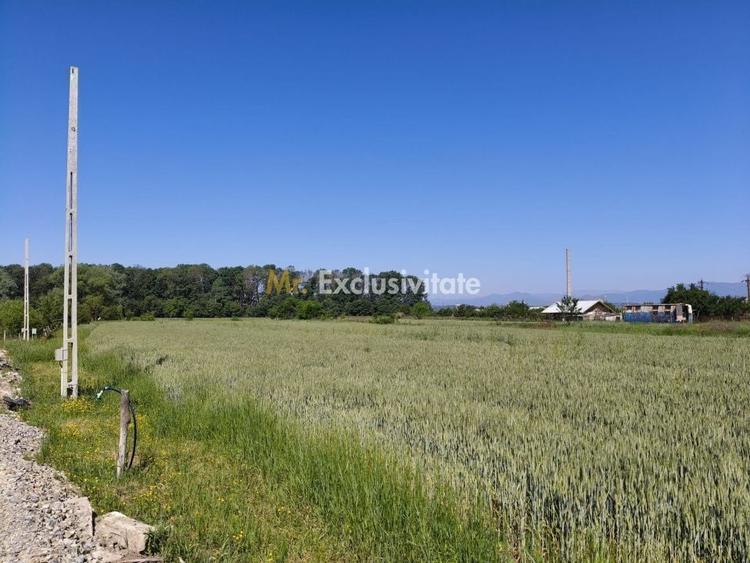 Teren agricol intravilan de 10294 mp, în Sud