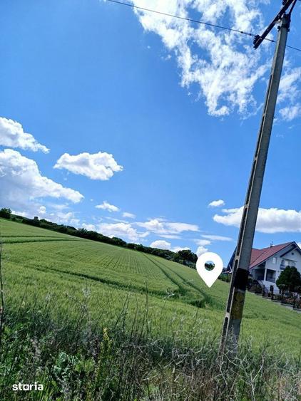 Teren de 4200 mp, în Târnăveni