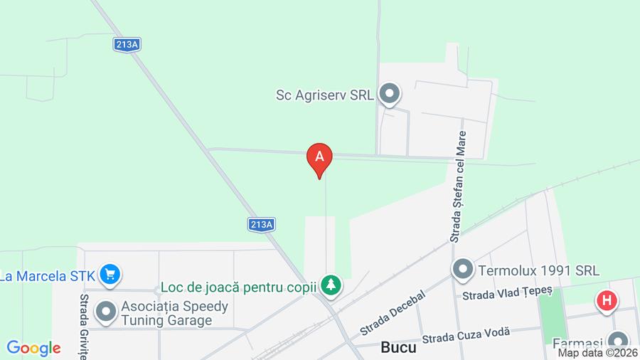 Teren agricol extravilan de 10000 mp, în Bucu