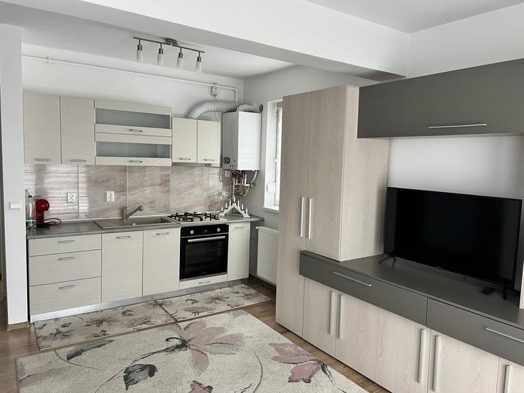 Apartament cu 2 camere nedecomandat, mobilat în Turnișor