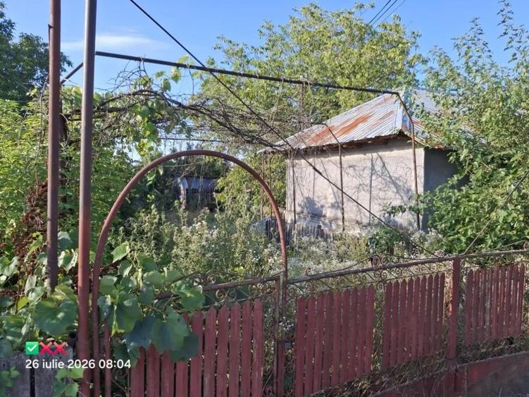 Teren de 1000 mp, în Vânătorii Mari