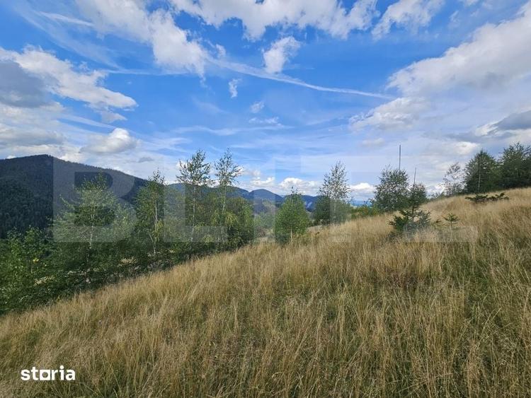 Teren intravilan 5.271 mp cu priveliste spectaculoasa Garda de Sus - 4
