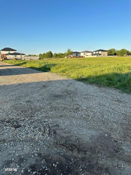 Teren de Vanzare, Comuna Berceni, Judetul Ilfov, Strada Serelor - 2