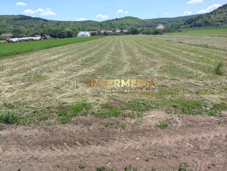 Teren Construcții intravilan de 3024 mp, în Totoi