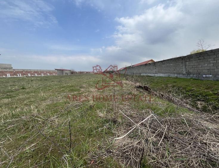 Teren Construcții intravilan de 2450 mp, în Bucovăț (Remetea Mare)