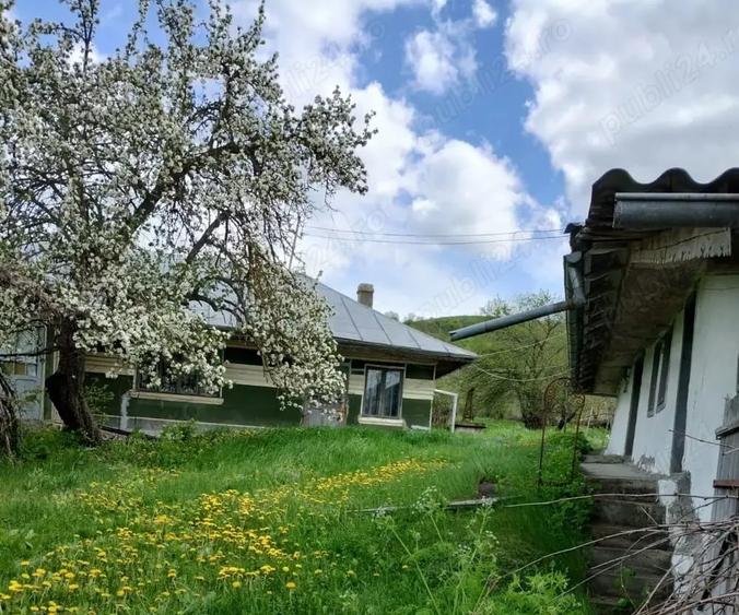 Casă cu 4 camere în Oltenești