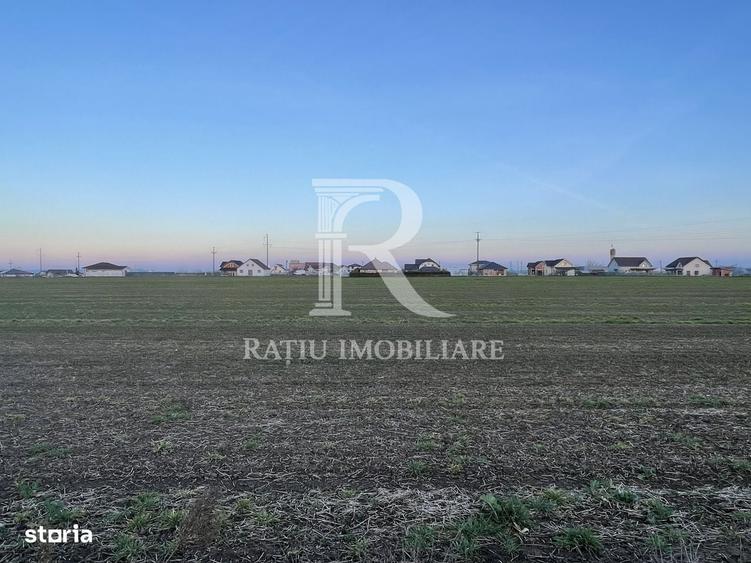 Spațiu comercial, în Livada de Bihor