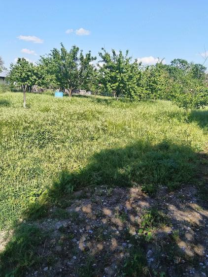 Teren de 1500 mp, în Singureni