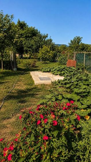 Casă cu 4 camere în Dragomirești