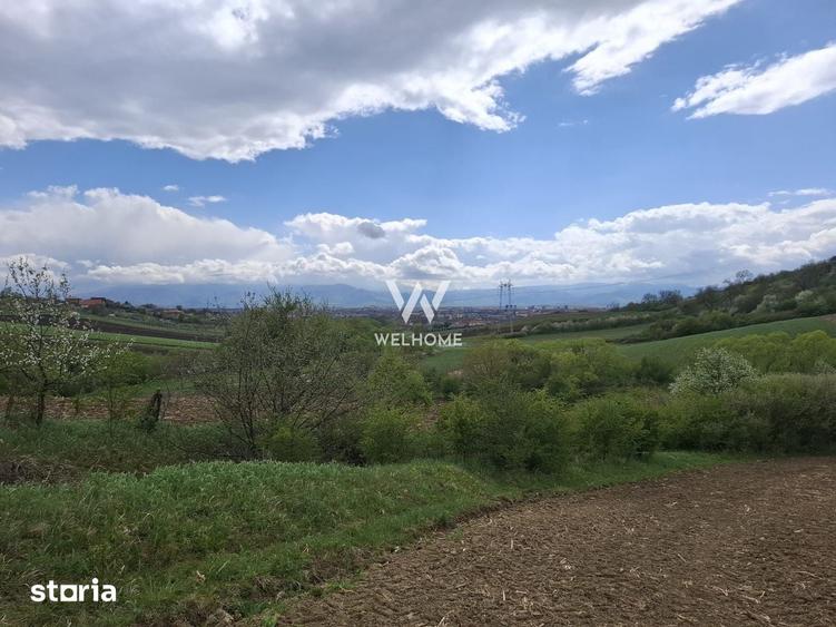 Teren extravilan arabil, utilitati aproape - Sibiu - Gusterland - 7