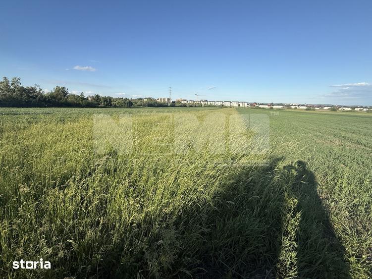 Teren de 2650 mp, în Frumosu