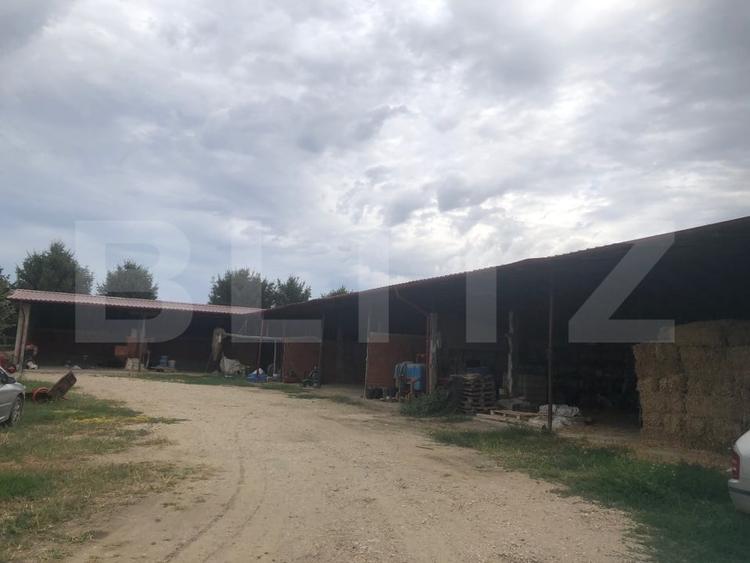 Teren agricol extravilan de 15000 mp, în Mărtinești