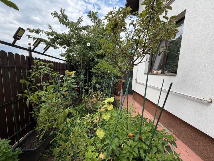 Duplex cu 3 camere cu Canalizare în Buftea