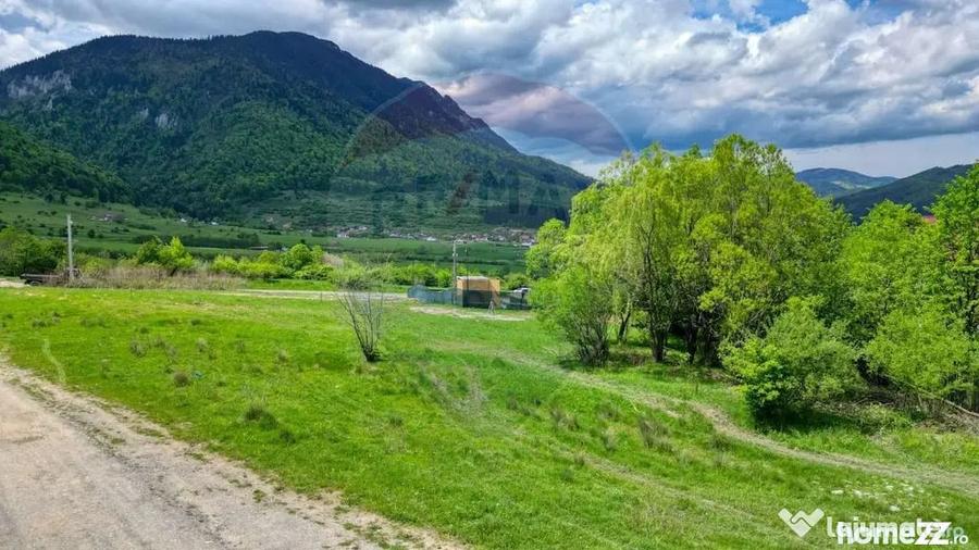 Teren în Tohănița