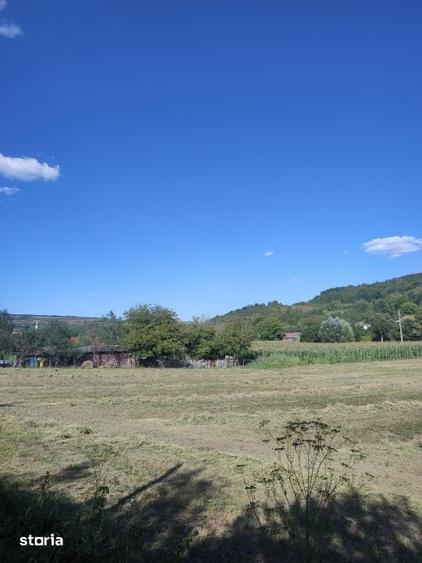 Teren de 1900 mp, în Țaga