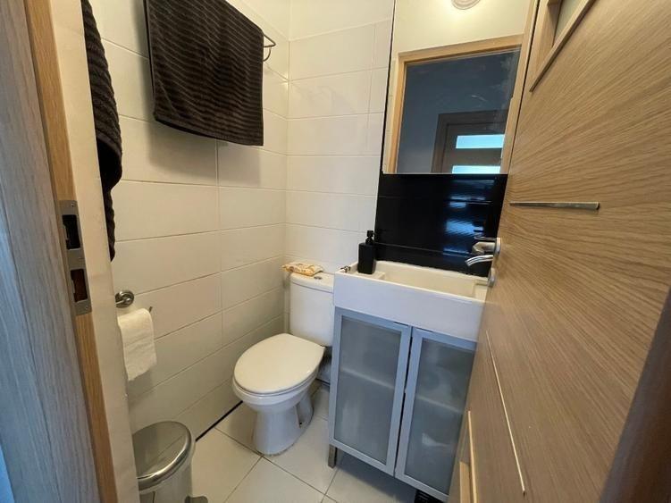 Apartament Ion Campineanu // Cismigiu - 10