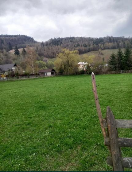 Teren de 2990 mp, în Molid
