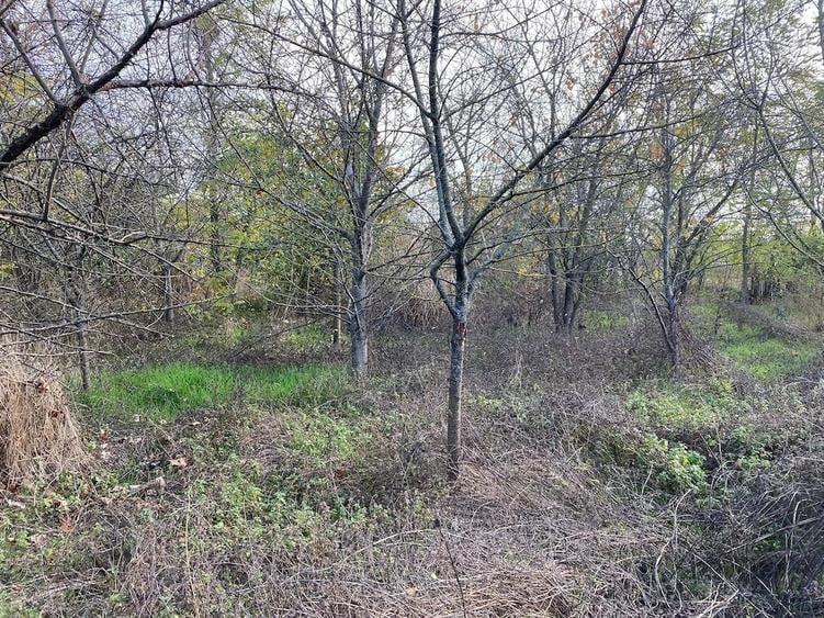 Casă cu 3 camere cu Teren 1500 Mp în Ulmu