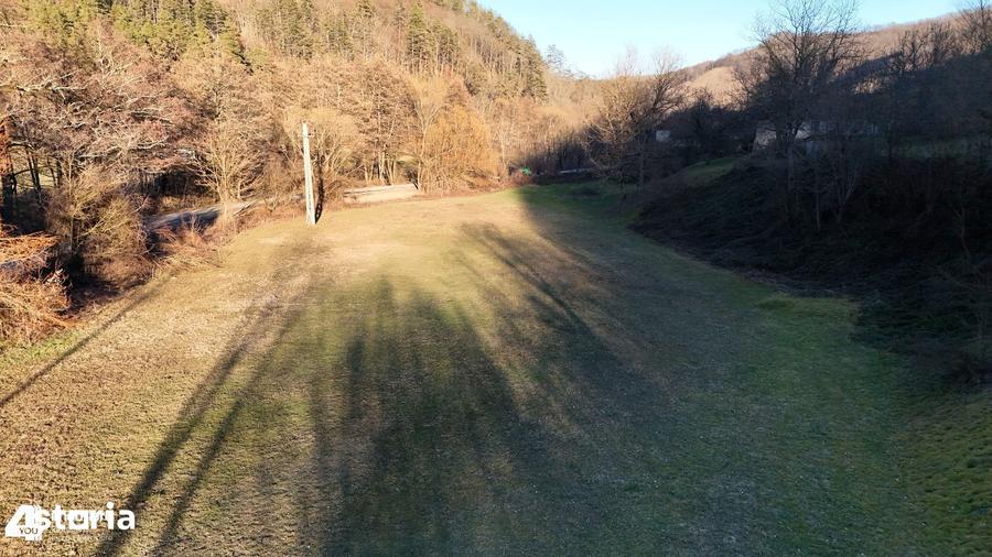Teren de 23321 mp, în Vața de Jos