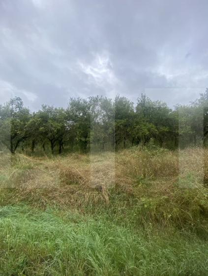 Teren agricol extravilan de 5150 mp, în Simeria