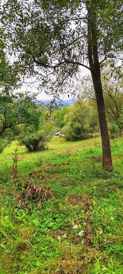 Teren de 5400 mp, în Bughea de Jos