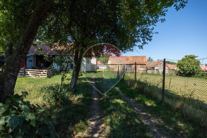 Teren Construcții intravilan de 1620 mp, în Comana de Jos
