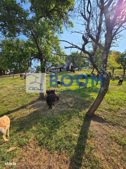 Casă cu 3 camere decomandat în Dângești