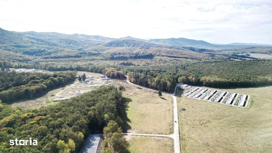Teren de 186000 mp, în Dumbrăvița