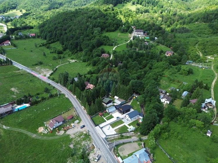 Teren Construcții intravilan de 1500 mp, în Lepșa