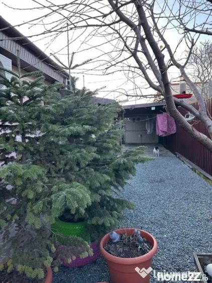 Casă cu 3 camere cu Teren 200 Mp în Palas