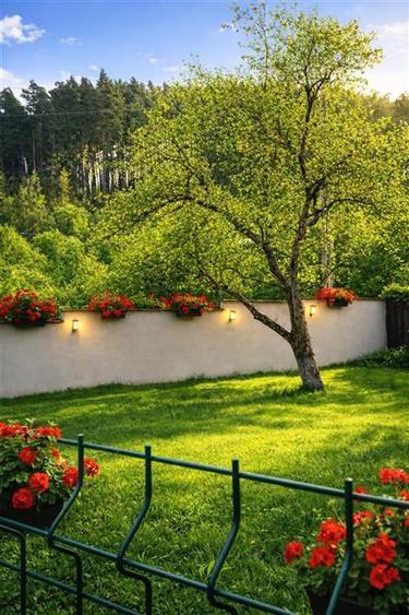 Casă individuală cu 3 camere cu Teren 1741 Mp în Central