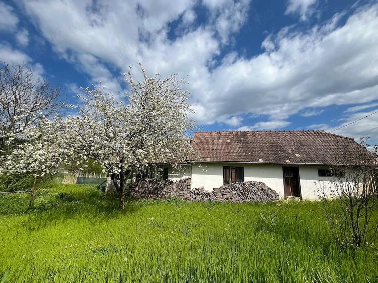 Casă cu Teren 720 Mp în Ceuaș