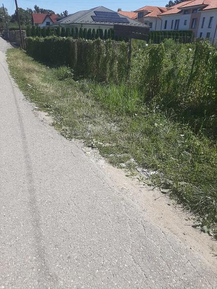 Teren de 735 mp, în Central