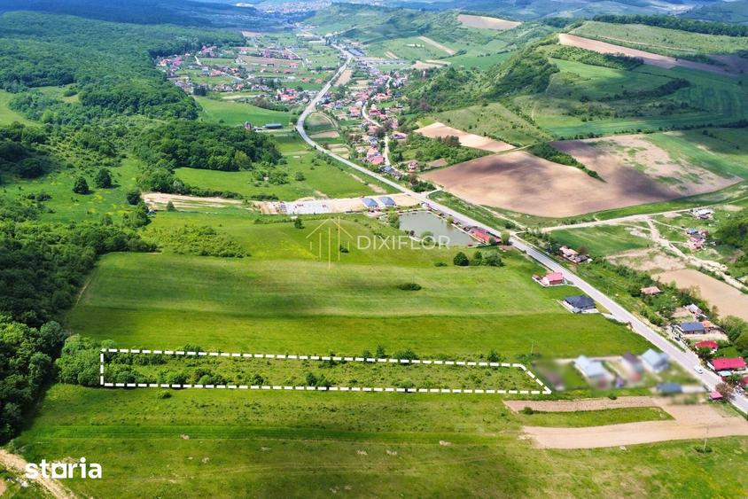 Teren de 4620 mp, în Livezeni