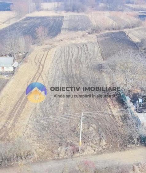 Teren intravilan de 10515 mp, în Bodești
