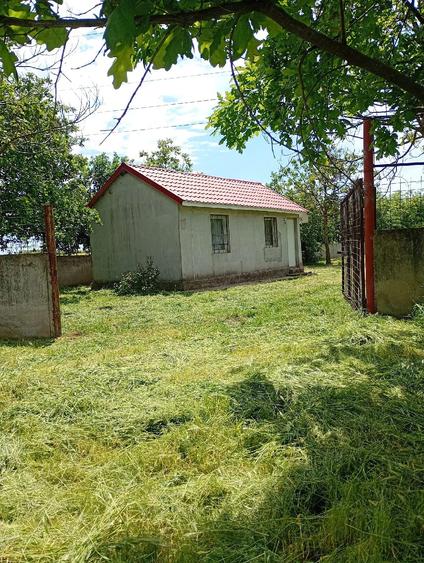 Casă cu 2 camere cu Teren 3500 Mp în Central