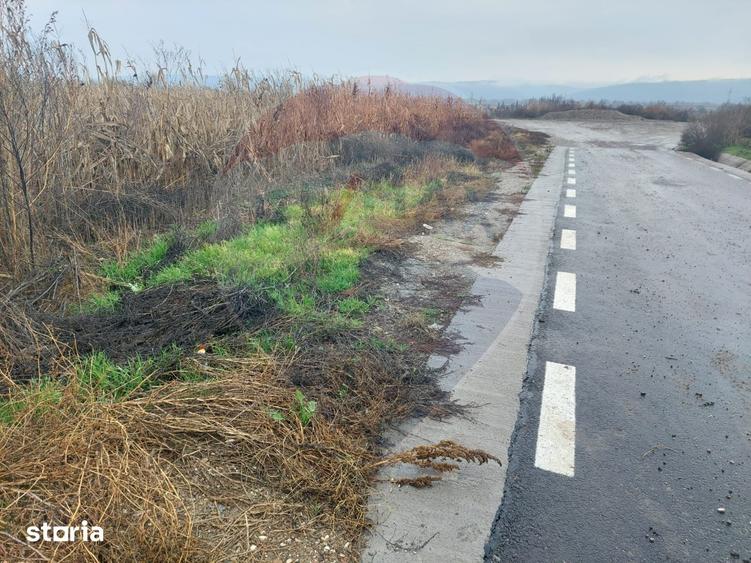 Teren de 2114 mp, în Nicolae Bălcescu