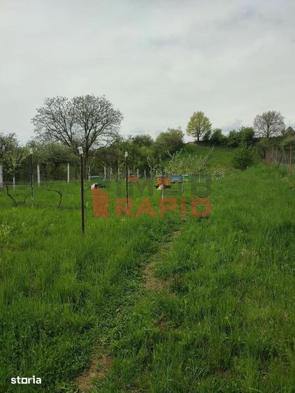 Teren de 1332 mp, în Prundu Bârgăului