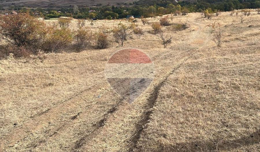 Teren agricol extravilan de 4000 mp, în Pădureni (Ciurila)
