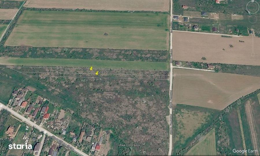 Snagov-str. Piersicariei - 6